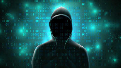 Hackproof Your Life Article