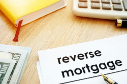 Reverse Mortgage Article