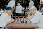Seniors playing chess