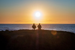 Social Security Article